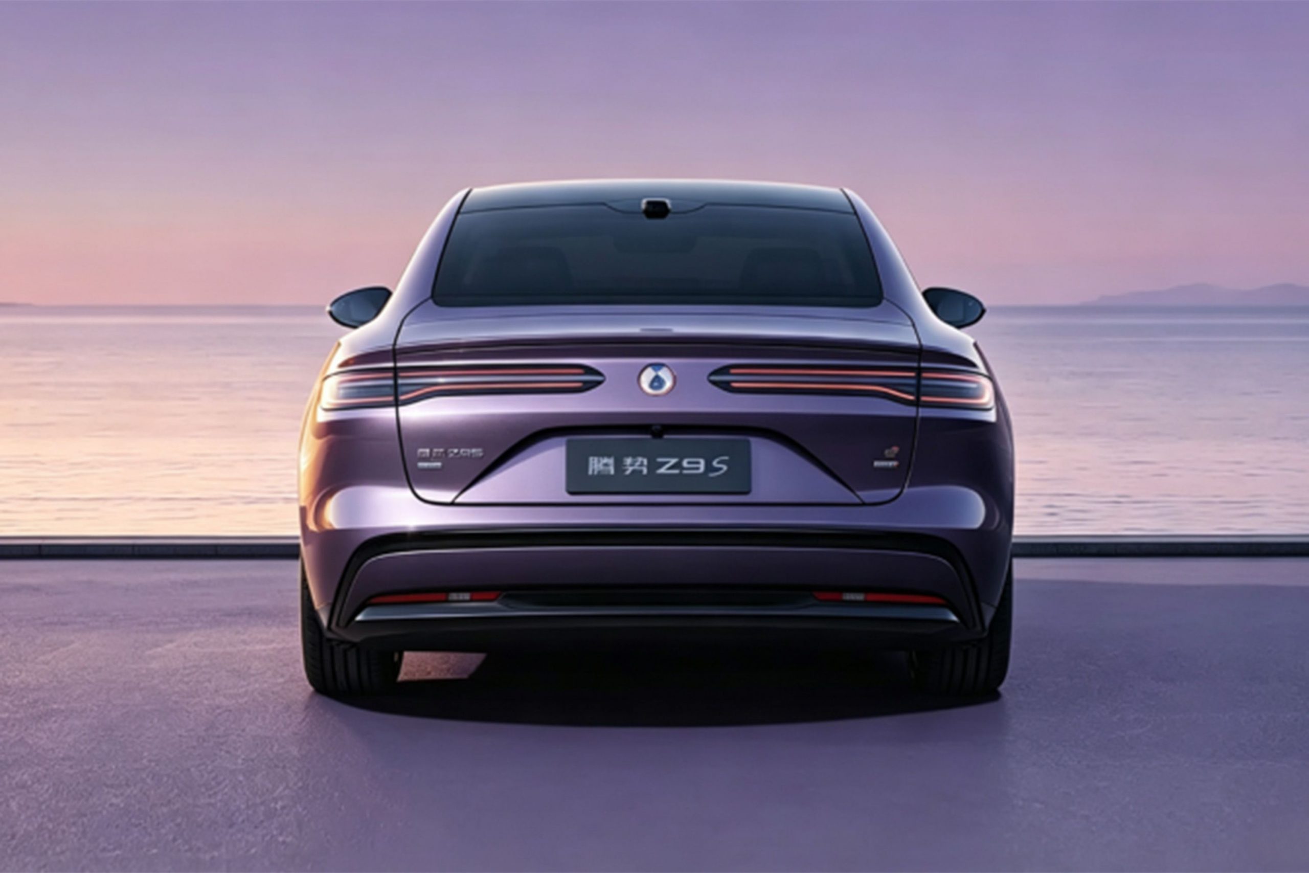 بیوایدی دنزا Z9S
