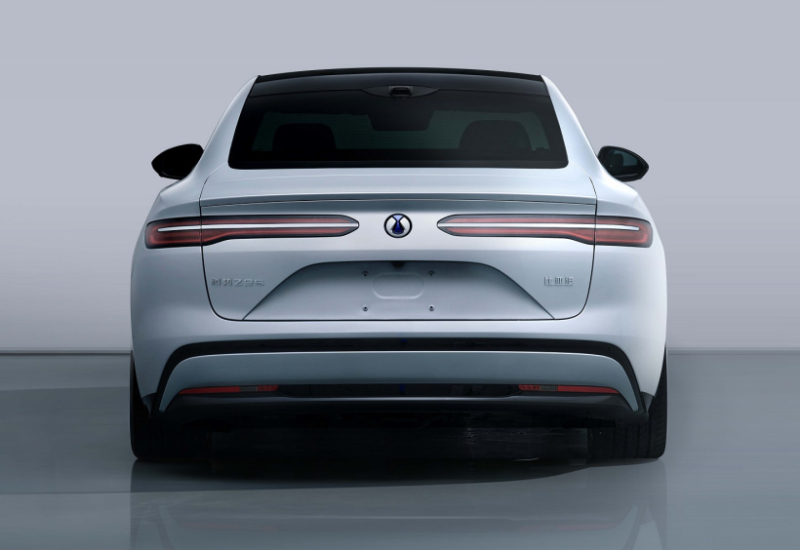 بیوایدی دنزا Z9S